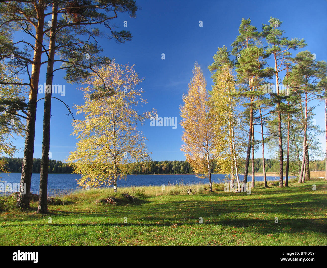 Ähijärv Lake, comté de Võru, Estonie, Europe Banque D'Images