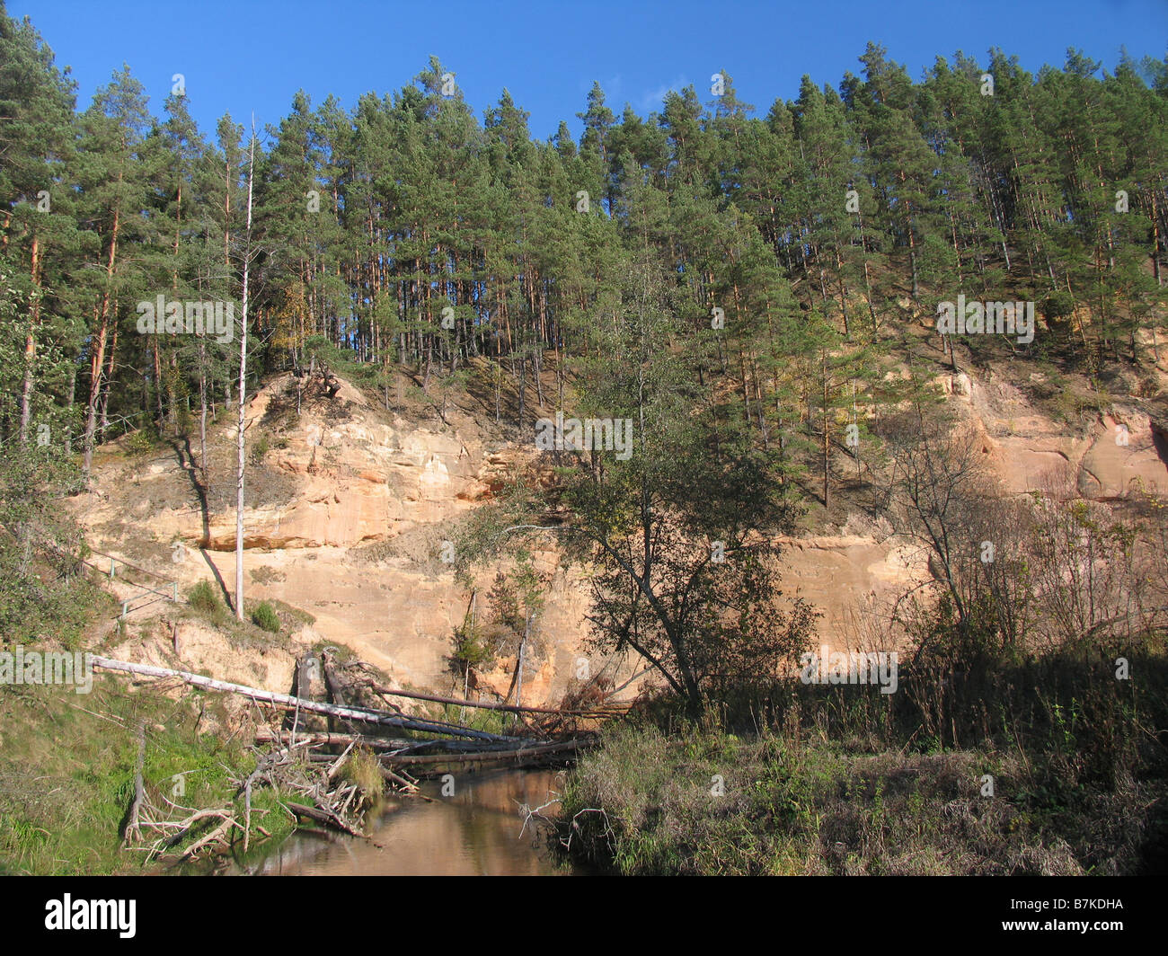 Mur Härma, Tallinn, Estonie, Europe Comté Banque D'Images