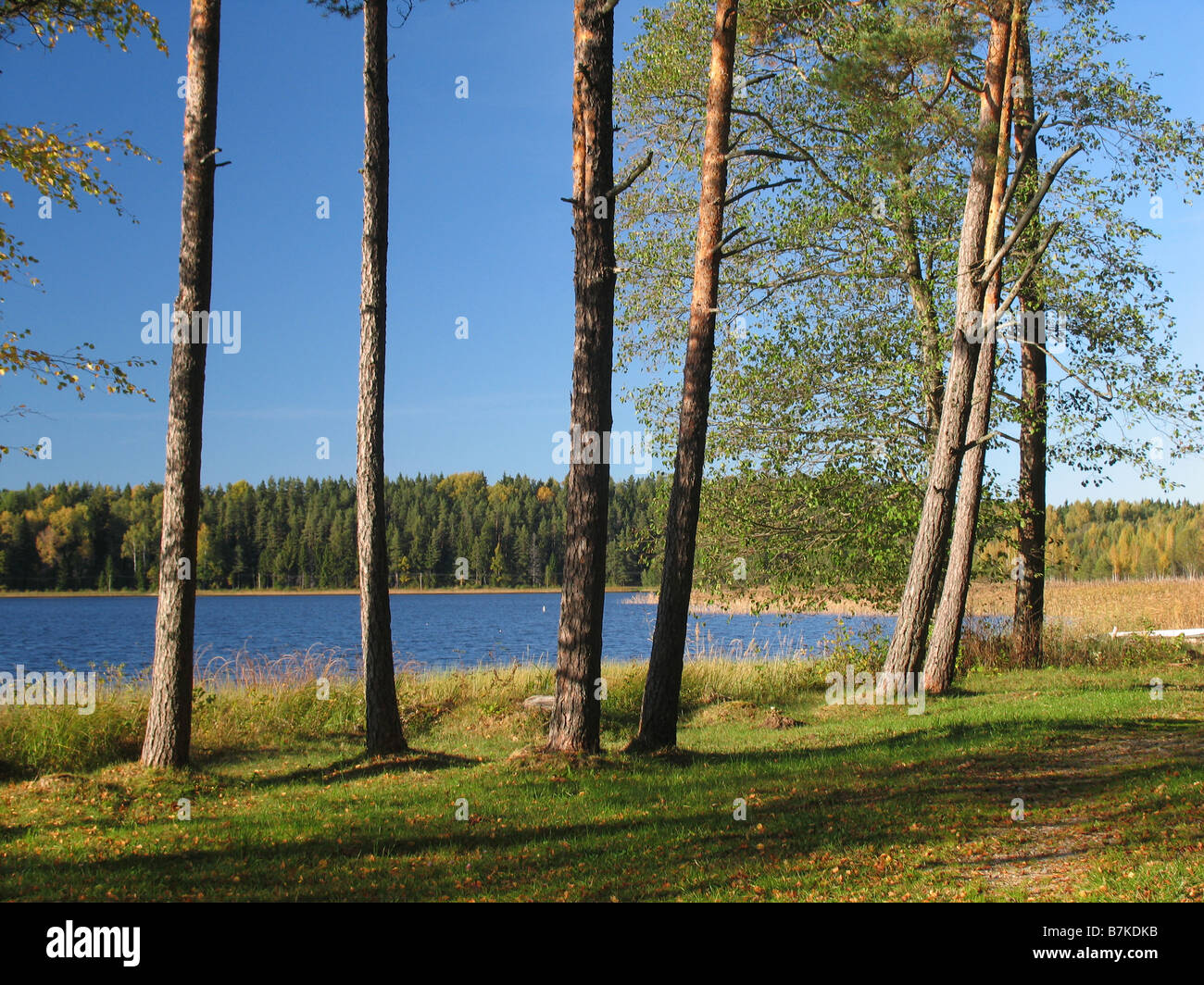 Ähijärv Lake, comté de Võru, Estonie, Europe Banque D'Images