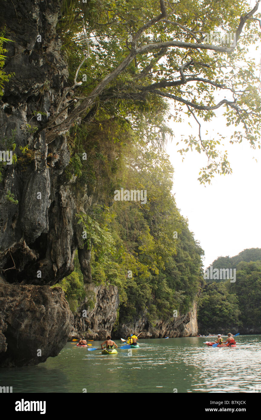 Kayak à Ao Nalene mangroves en Thaïlande Banque D'Images