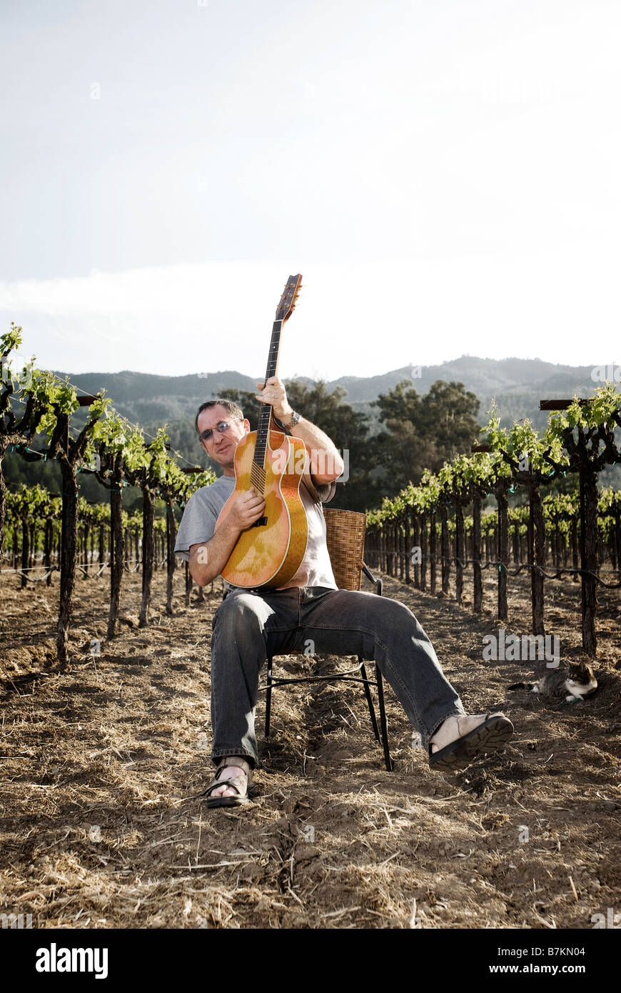 Musicien assis dans vignoble avec guitare, style de portrait. Banque D'Images