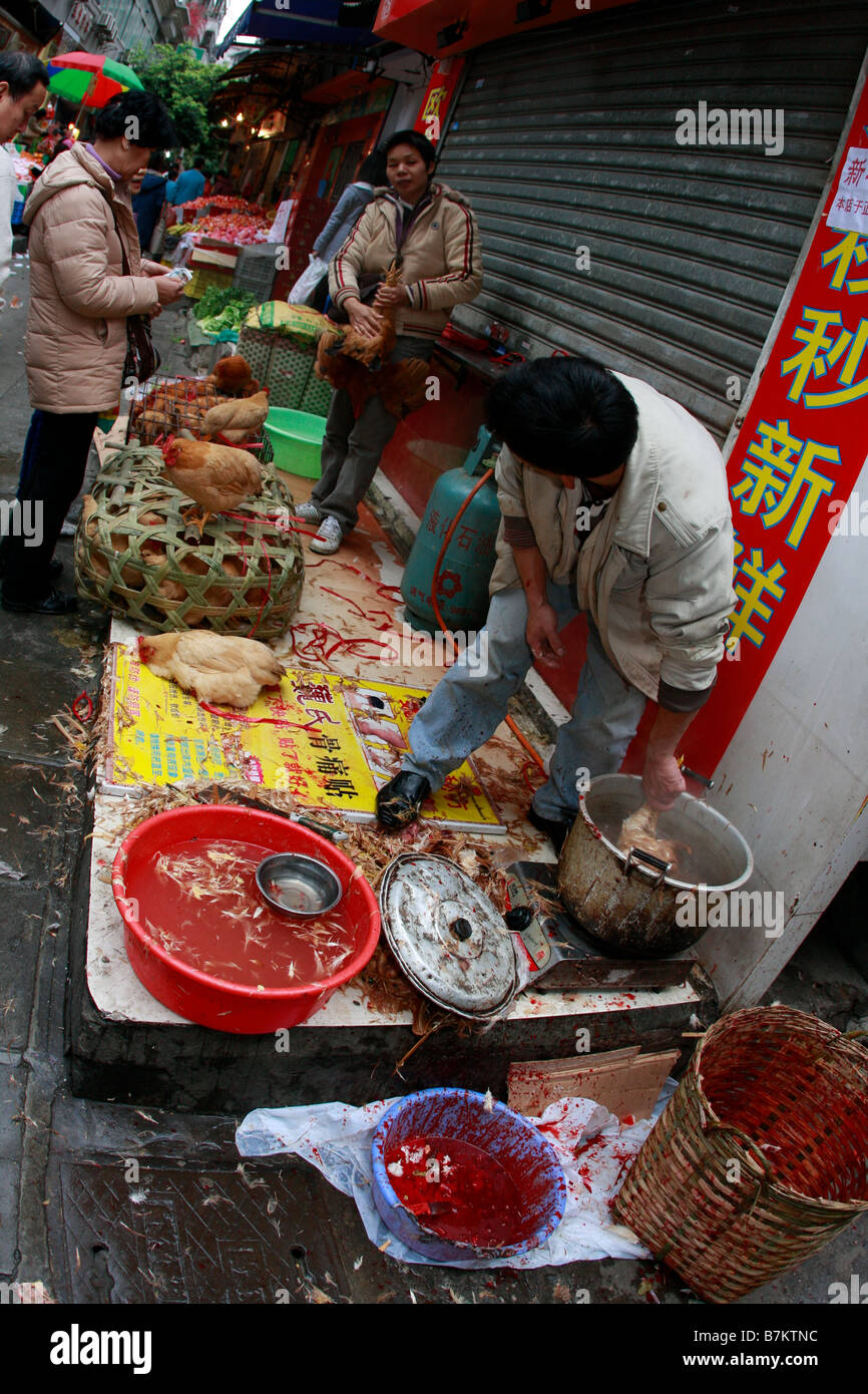 Paysan non réglementé non inspectés vend des volailles dans la rue du marché comme des morts s'élève du H5N1bir virus de la grippe aviaire en Chine après sli Banque D'Images