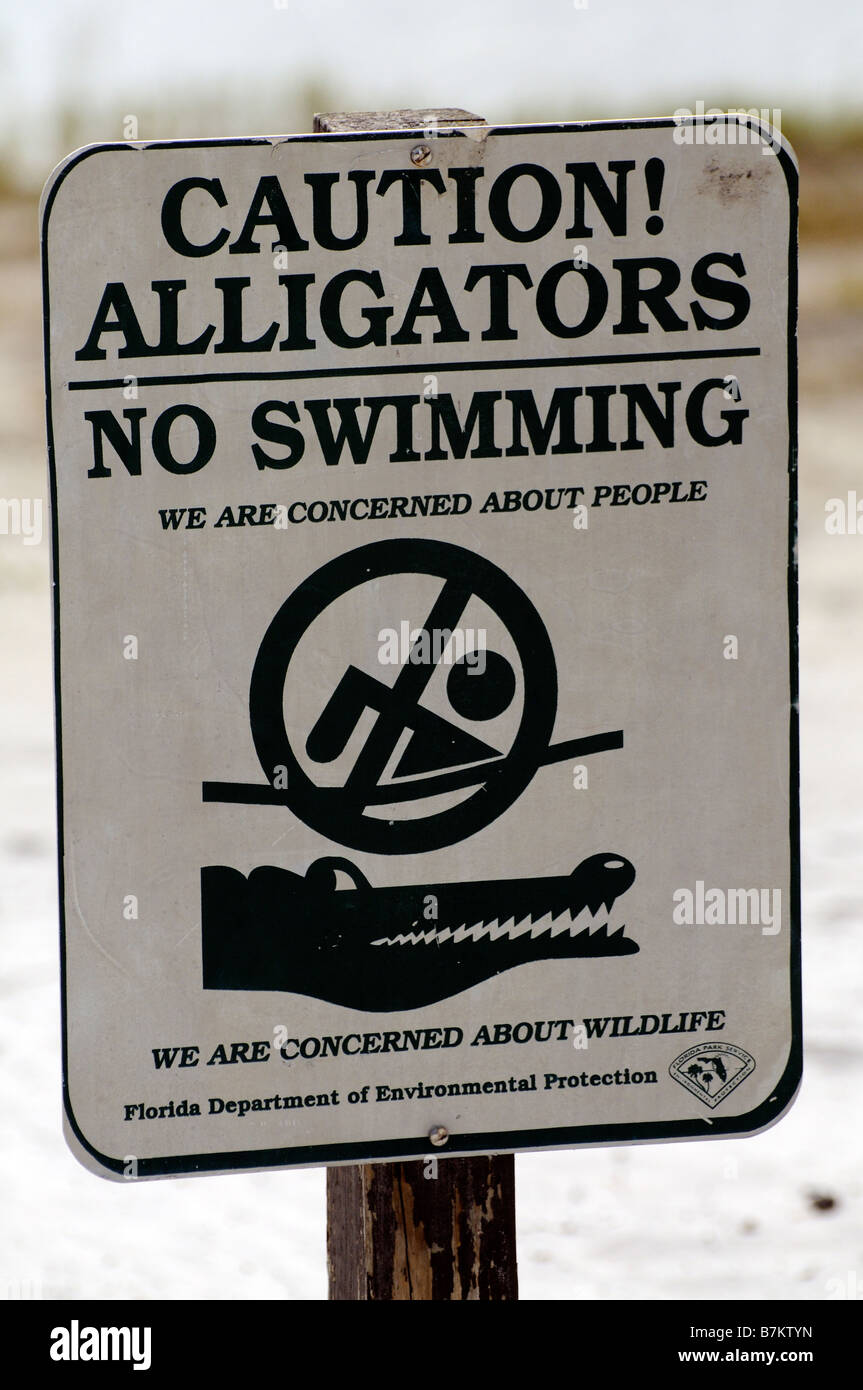 Le signe de danger Attention alligators pas de piscine Banque D'Images
