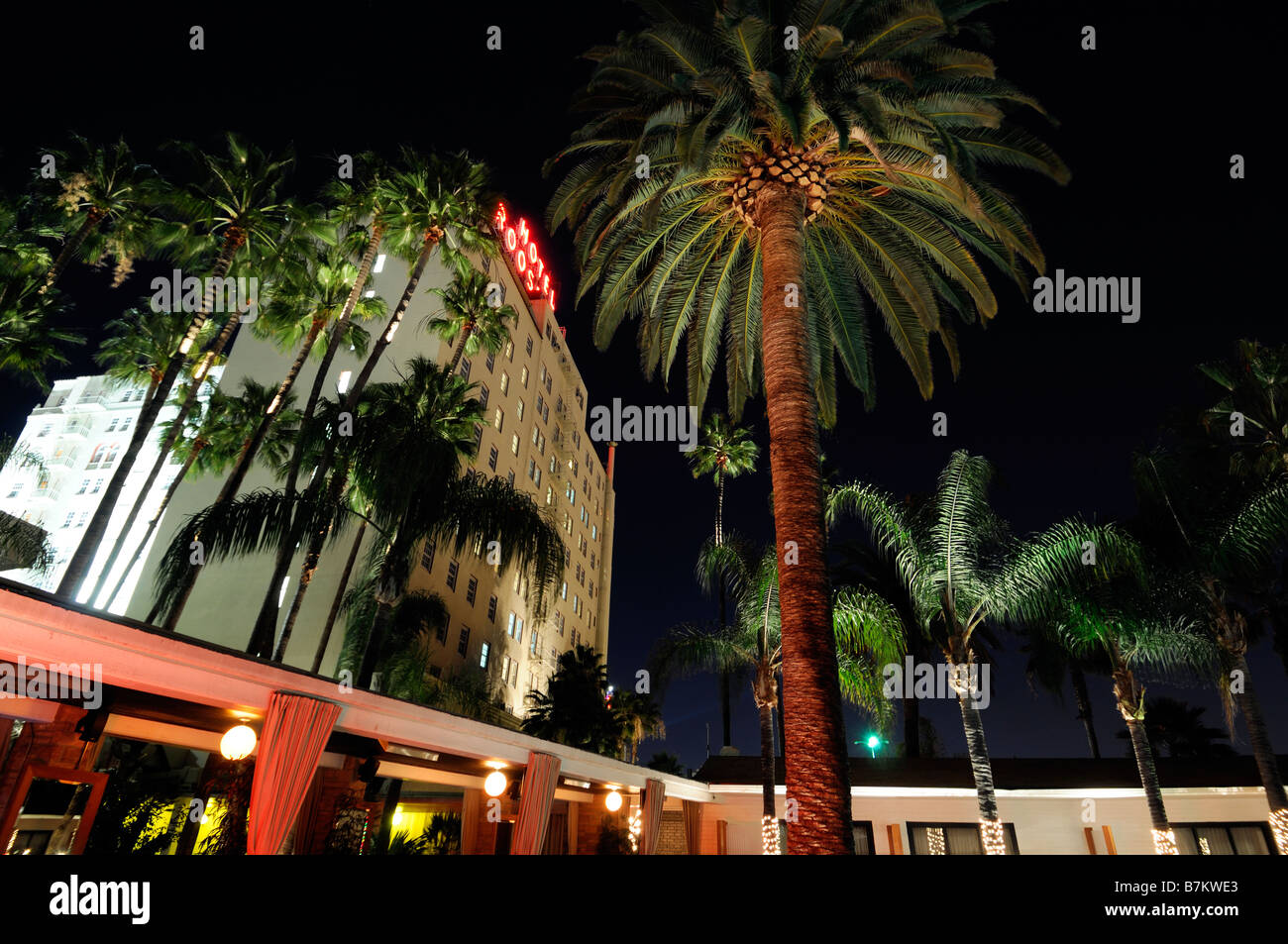 L'extérieur de l'hôtel Roosevelt de hollywood boulevard los angeles california célèbre résident résidence infâme palmier nuit nuit Banque D'Images