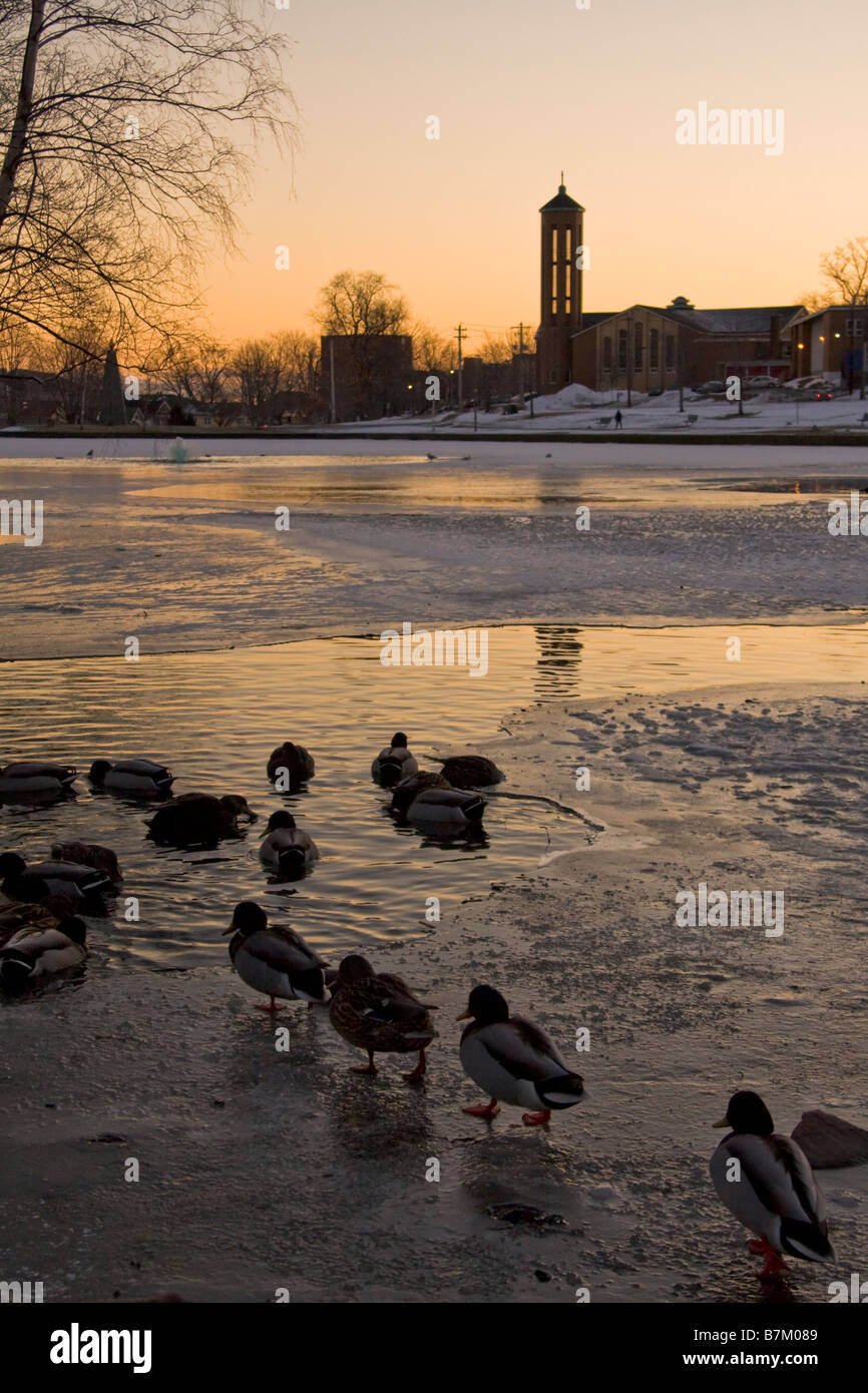 Coucher du soleil à Sullivan's Pond - Dartmouth, Nouvelle-Écosse, Canada Banque D'Images