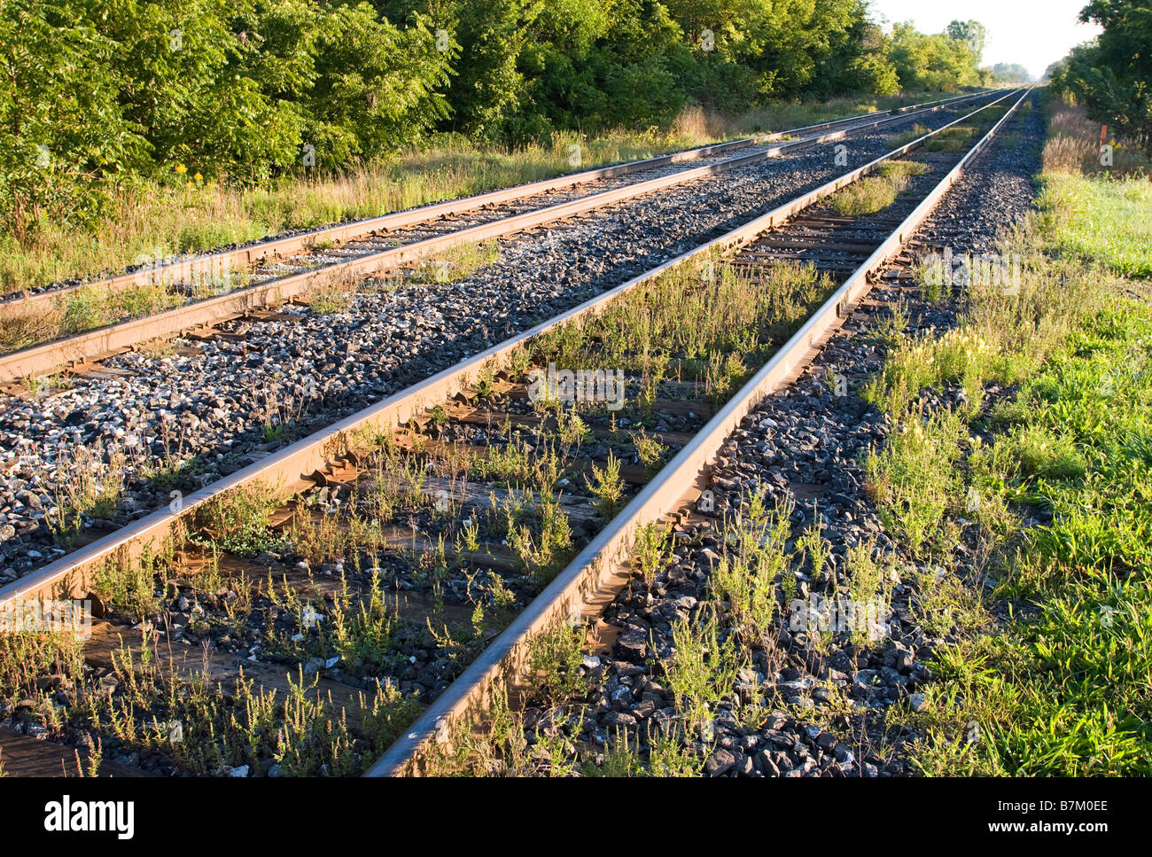 Ligne de chemin de fer de campagne peu utilisée avec des mauvaises herbes entre les rails dans une image allant du bas à gauche vers le haut à droite avec une vue en perspective en ligne droite forte. Banque D'Images