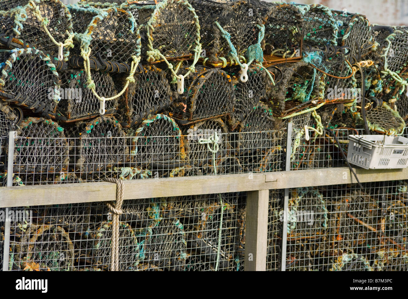 Pioche de la pêche commerciale des casiers à homard Banque D'Images