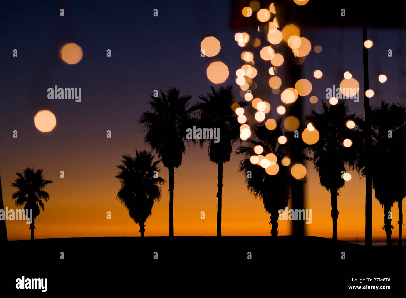 Palmiers au coucher du soleil avec des lumières de Noël Venice Beach Los Angeles County California United States of America Banque D'Images