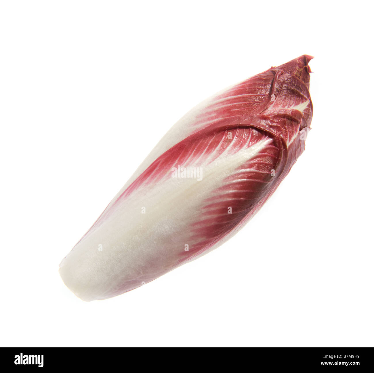 Coeur de la chicorée endive witloof chicoree chicorée rouge violet blanc jaune salat salade de laitue alimentaire Aliments fitness fit sur w Banque D'Images