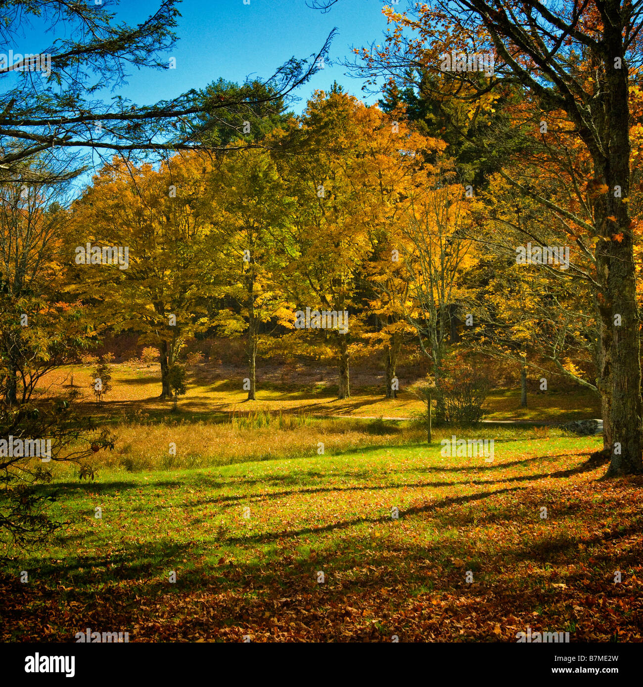L'automne (automne), à Trout Lake, North Carolina, USA Banque D'Images