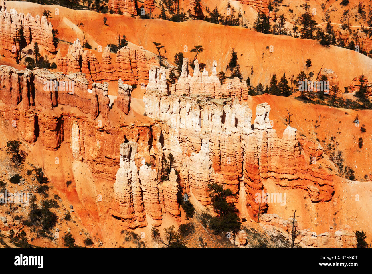 Vues de la jante de Bryce Canyon Banque D'Images