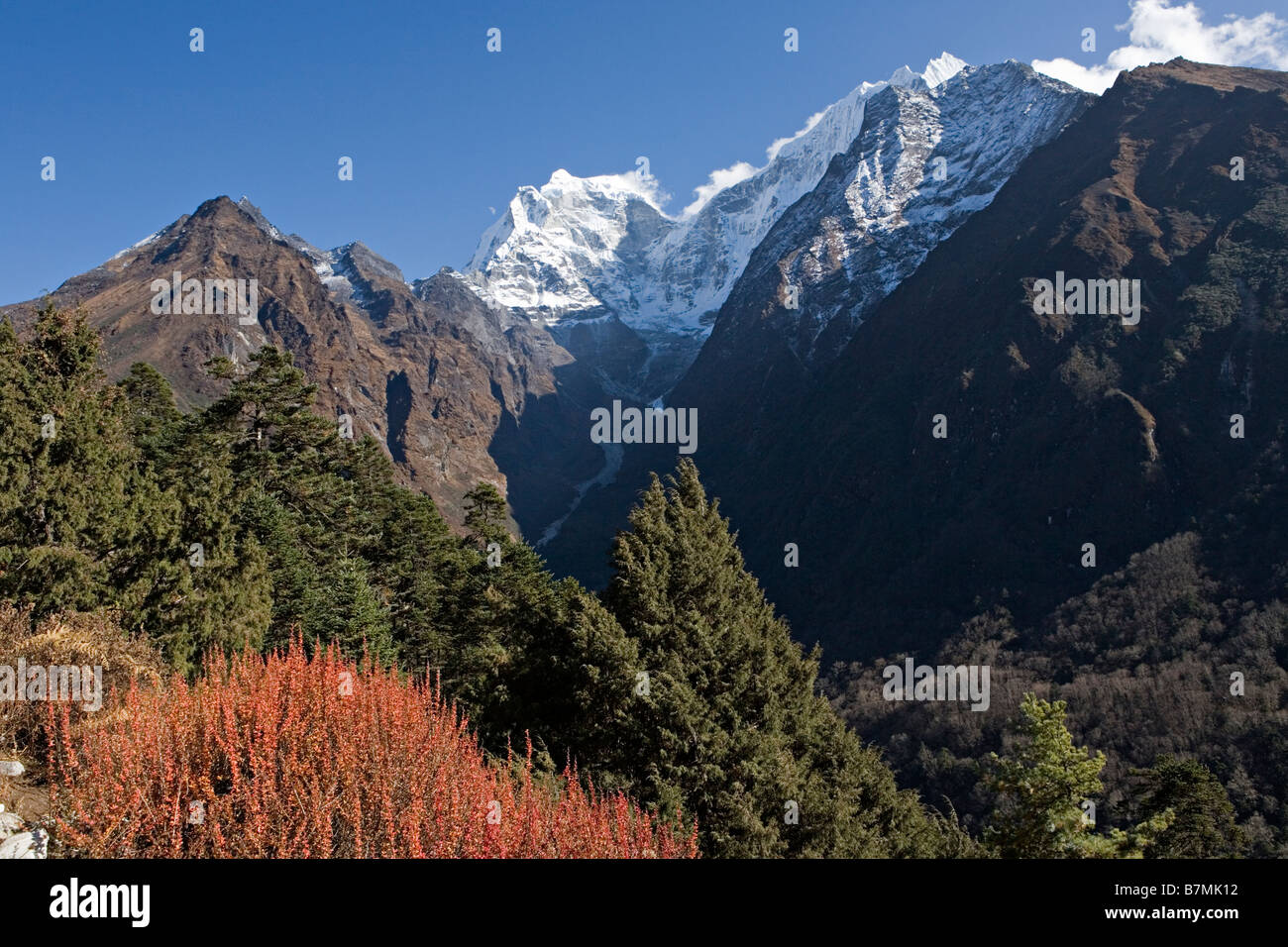 La forêt alpine et majestueux Kang Taiga 6685 m Mountain comme vu dans la région de la vallée de Khumbu Everest Népal Banque D'Images