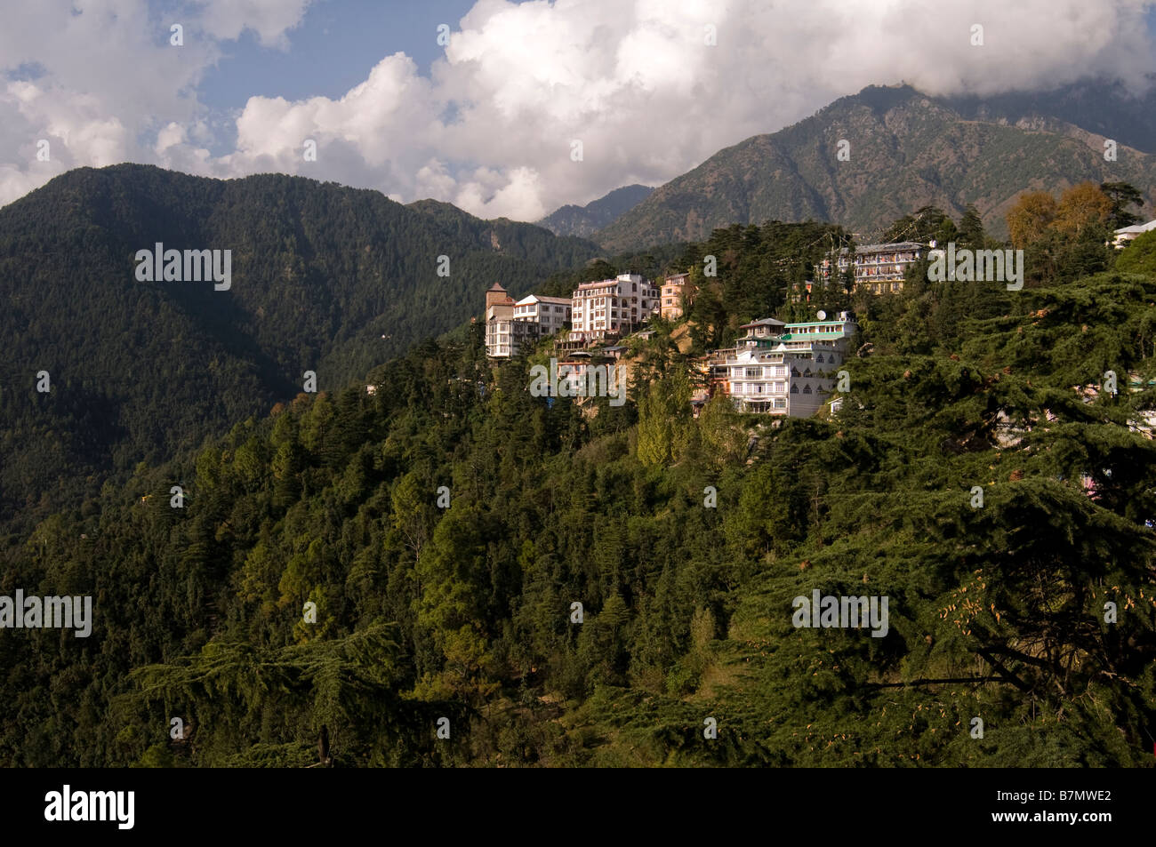 MacLeodganj au pied de l'Himalaya. Dharamsala. L'Himachal Pradesh. L'Inde. Banque D'Images