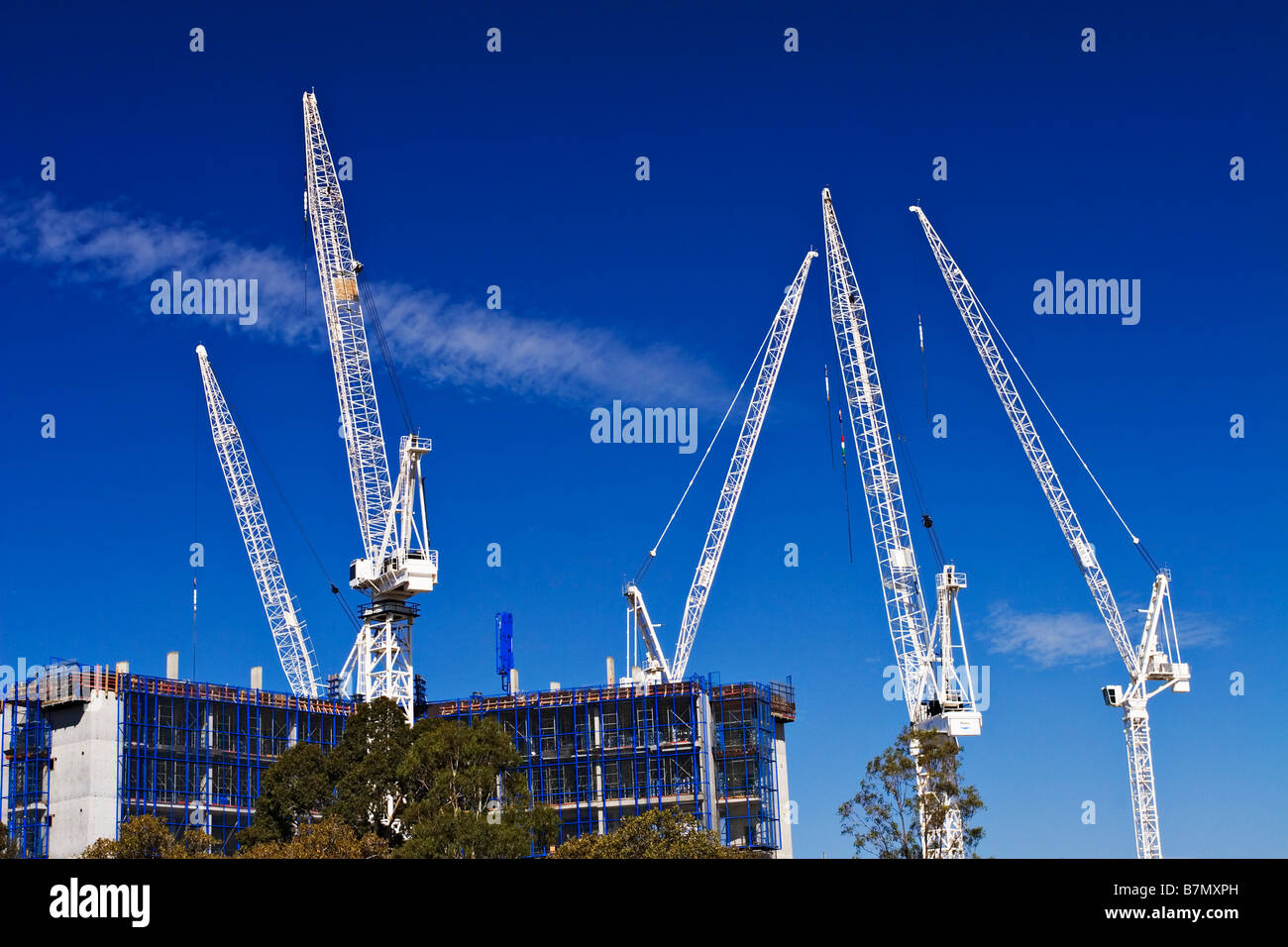 Construction / grues à tour sur un chantier à Melbourne Victoria en Australie. Banque D'Images