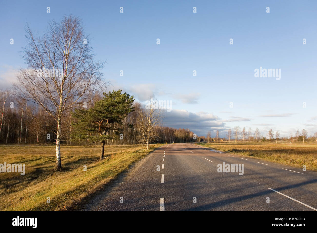 L'autoroute, du comté de Tartu, Estonie Banque D'Images