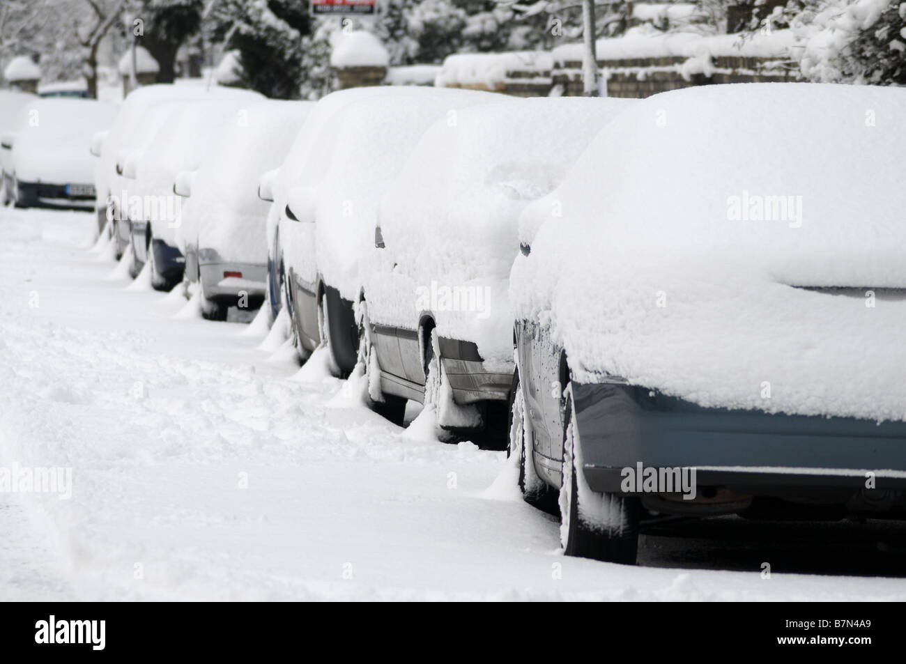 Voitures couvertes de neige Banque D'Images