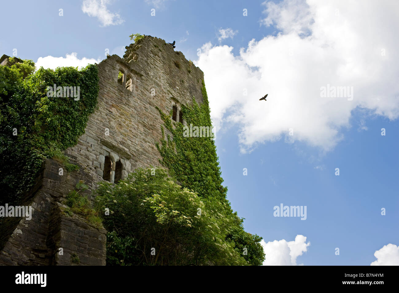 Château de Hay, Hay-on-Wye, au Pays de Galles UK Banque D'Images