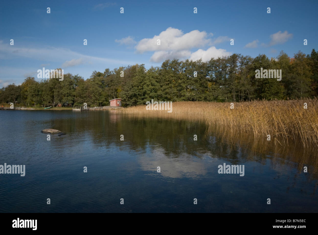 Cabine sur île entourée par l'eau et l'herbe de la mer d'un côté et de l'autre côté de la forêt Banque D'Images