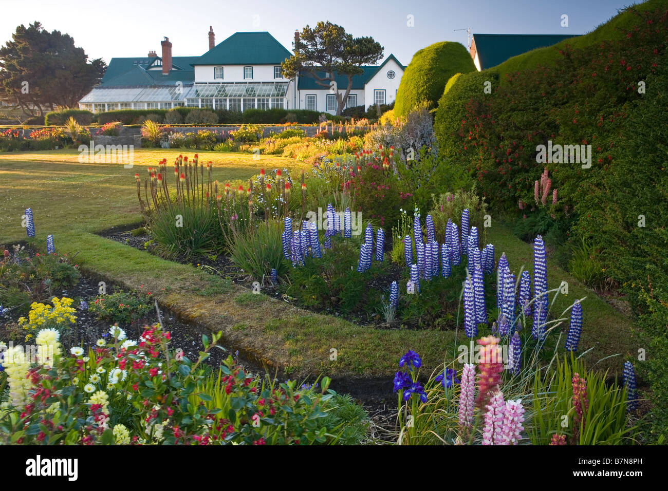 Government House à Stanley, Îles Falkland, jardin Banque D'Images