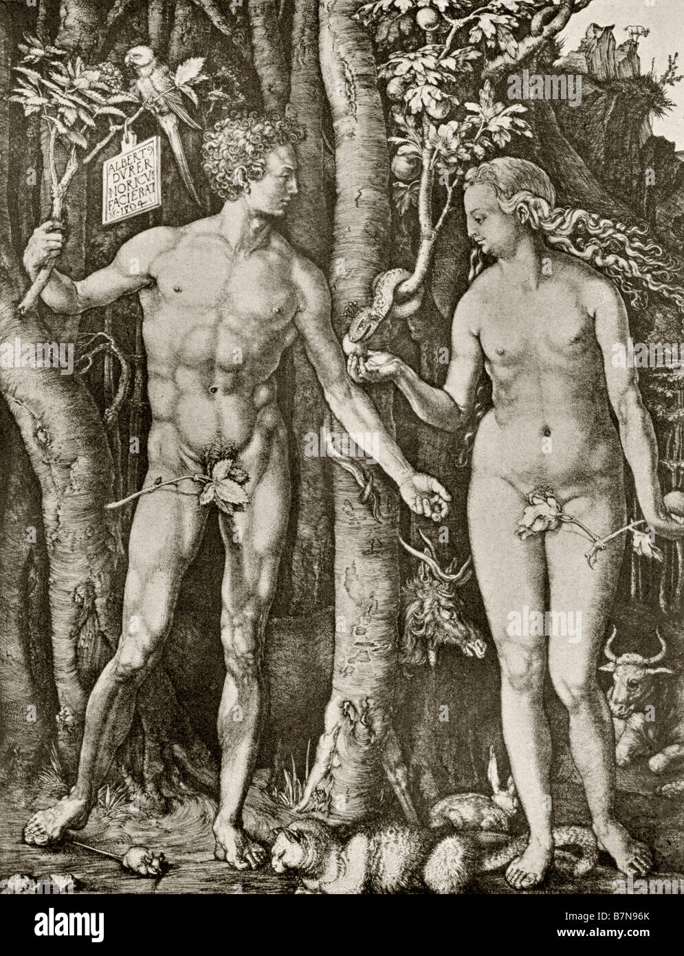 Adam et Eve. De la gravure de la ligne par Albrecht Durer, 1504. Banque D'Images