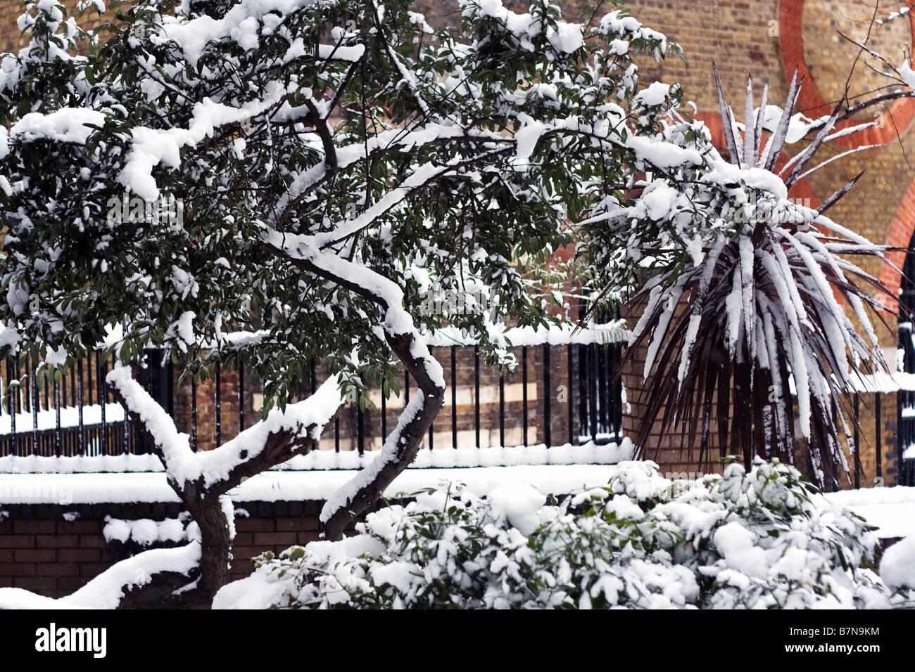 La neige a couvert des arbres et arbustes dans le centre de Londres. Banque D'Images