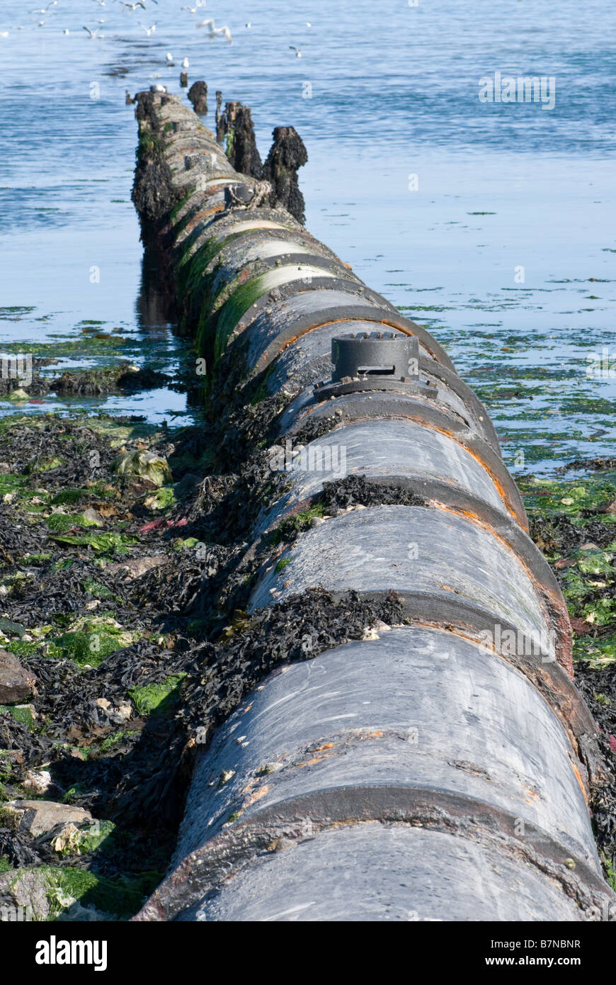 Rejet des eaux usées brutes tuyau allant dans la mer, et d'hydrocarbures sur l'eau causée par les eaux usées brutes déversés au bord de l'eau. Banque D'Images