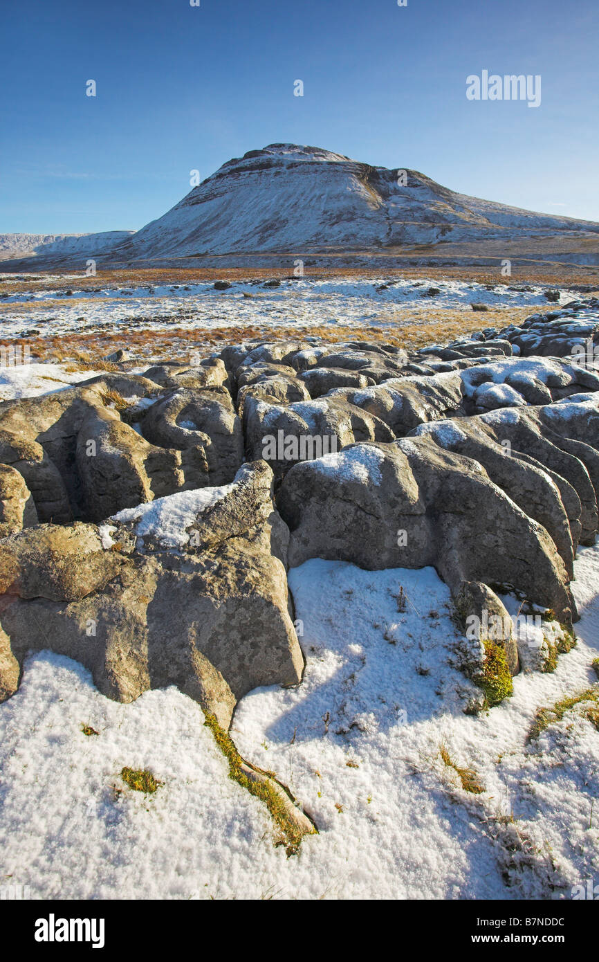 Ingleborough Hill couvertes de neige sur un hivers ensoleillé matin vu de la zone de cicatrices blanches Ribblesdale Yorkshire Dales Banque D'Images