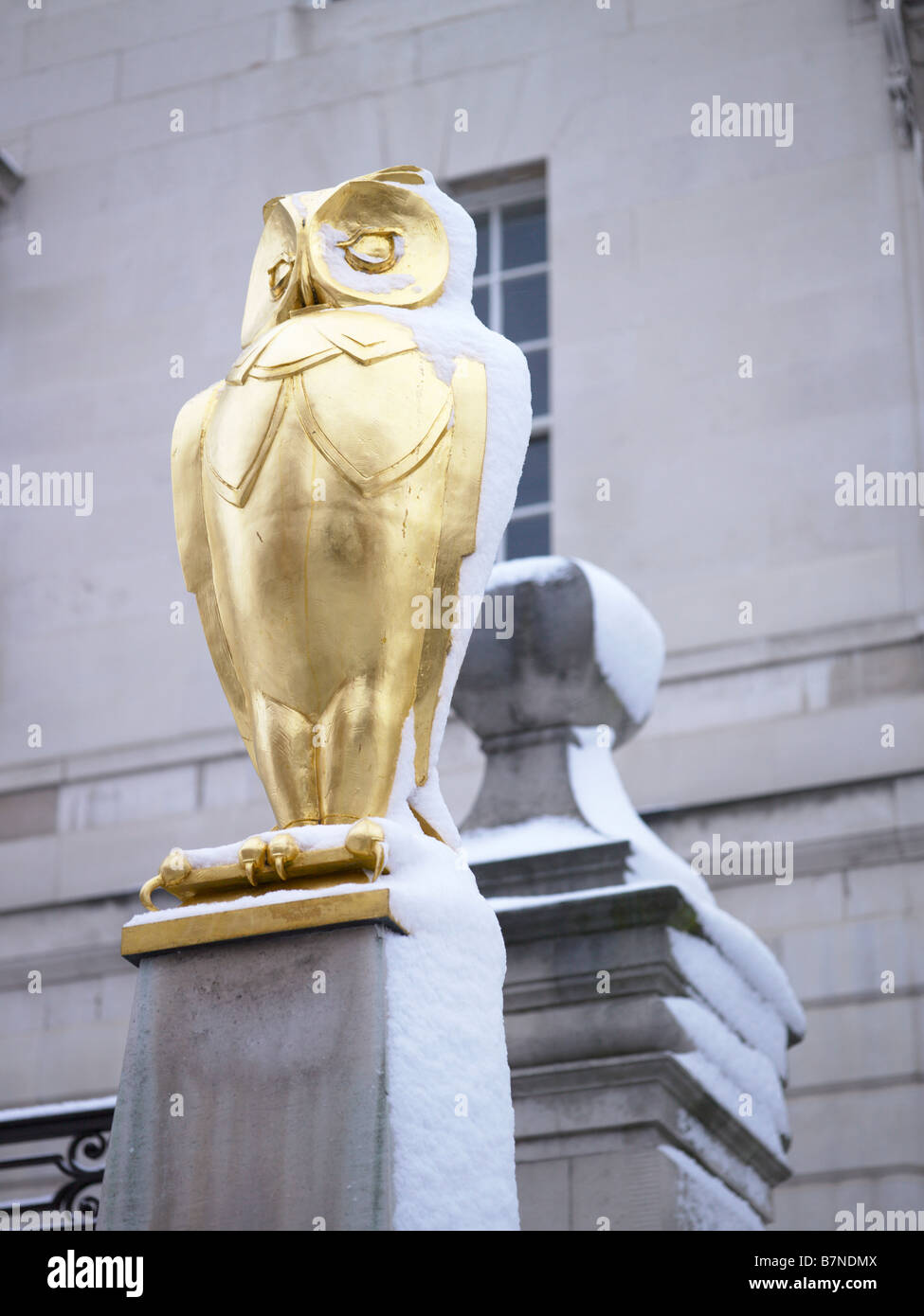 Wise Owl couvertes de neige à l'extérieur de la salle municipale de Leeds, Millennium Square, Leeds, Banque D'Images