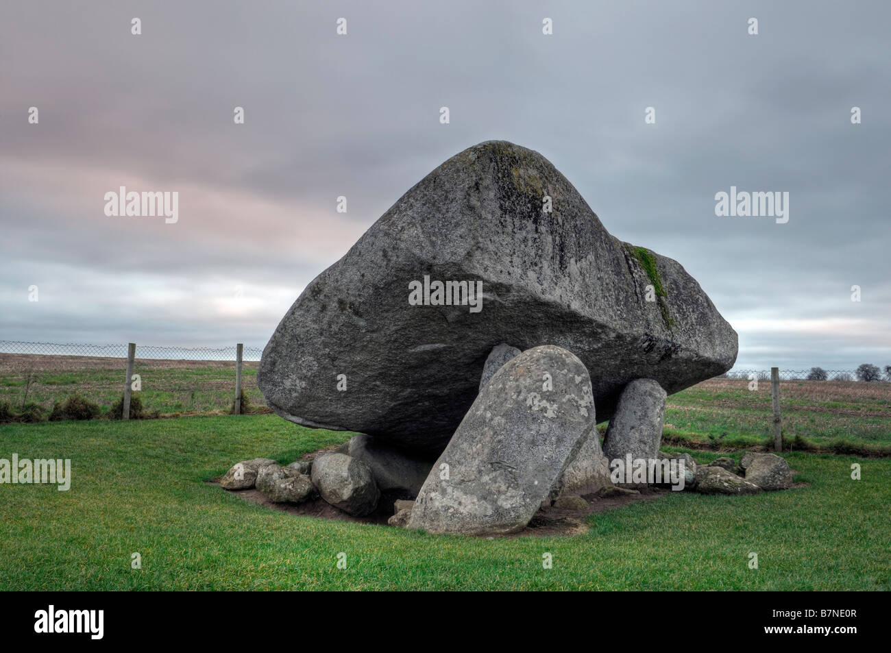 Brownshill dolmen mégalithique tombeau cromlech portail capstone carlow Irlande Banque D'Images