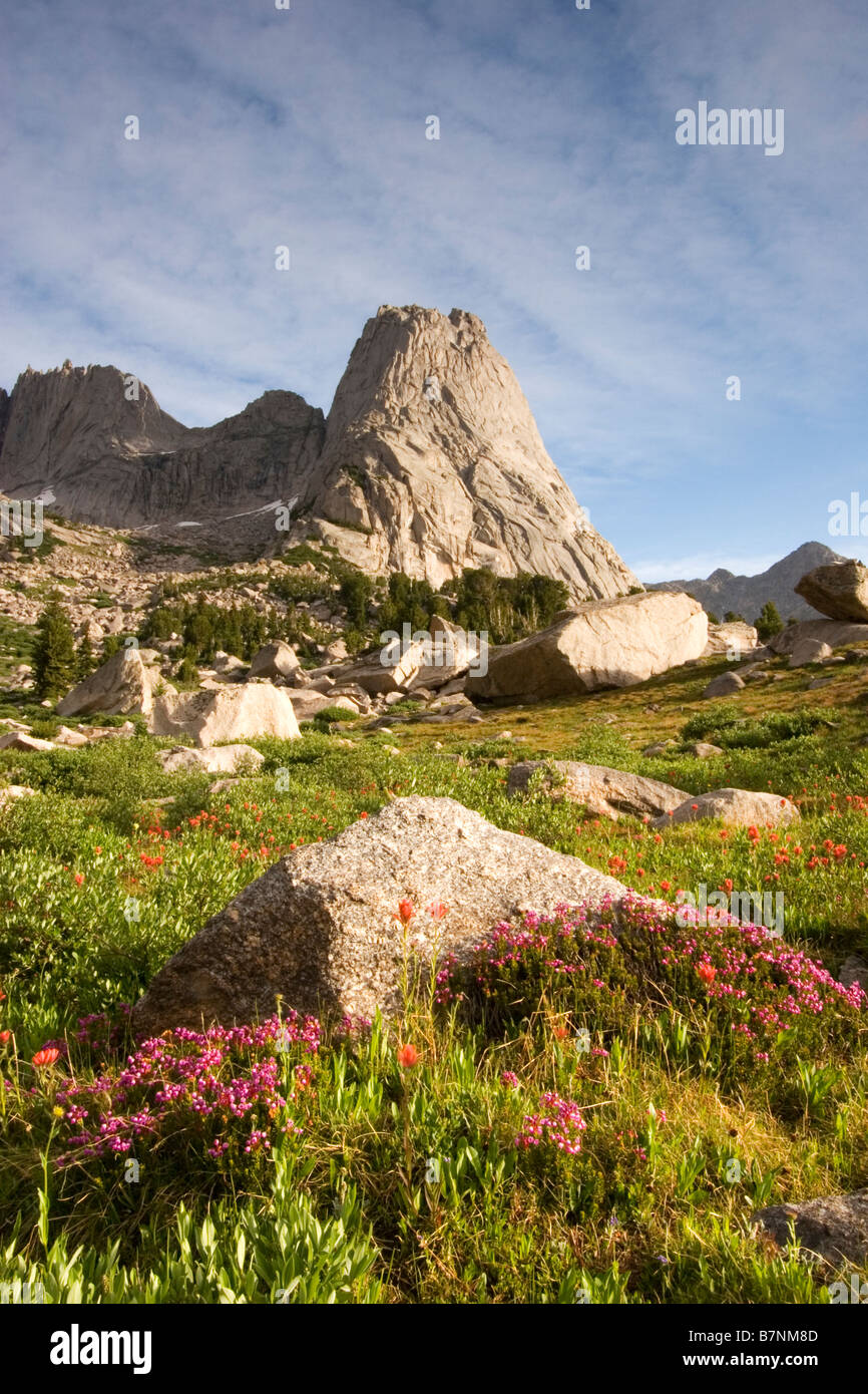 Pingora ci-dessus pointe meadows de Heather dans le Cirque de la gamme Wind River Tours Wyoming Banque D'Images