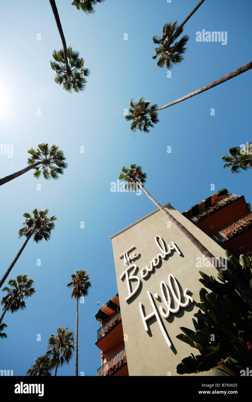 Palmiers à l'extérieur de l'hôtel Beverly Hills Banque D'Images