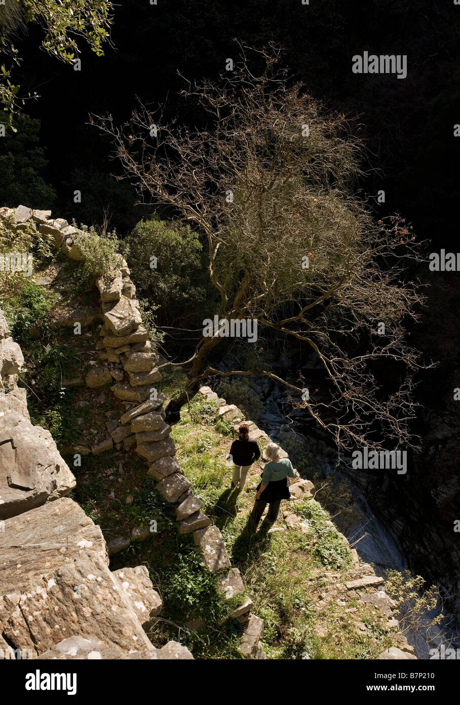 Marcher sur le chemin muletier de Pigadia vers le bas dans la gorge d'Rindomo Péloponnèse, Grèce Banque D'Images