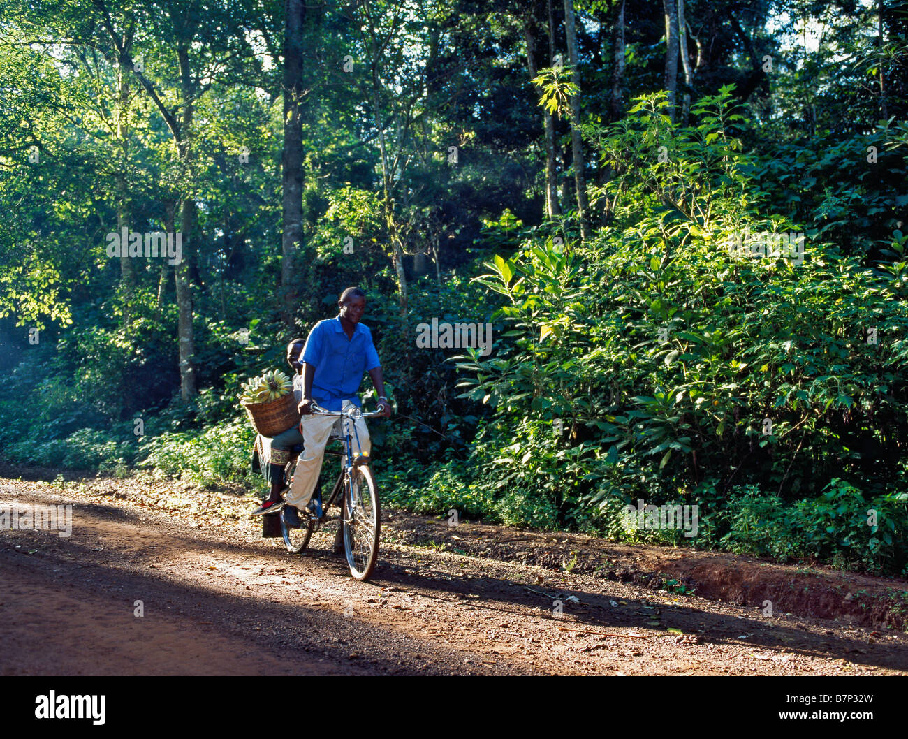 Kenya, Kakamega, forêt de Kakamega. Cycle des résidents locaux à travers la belle forêt de Kakamega. Banque D'Images