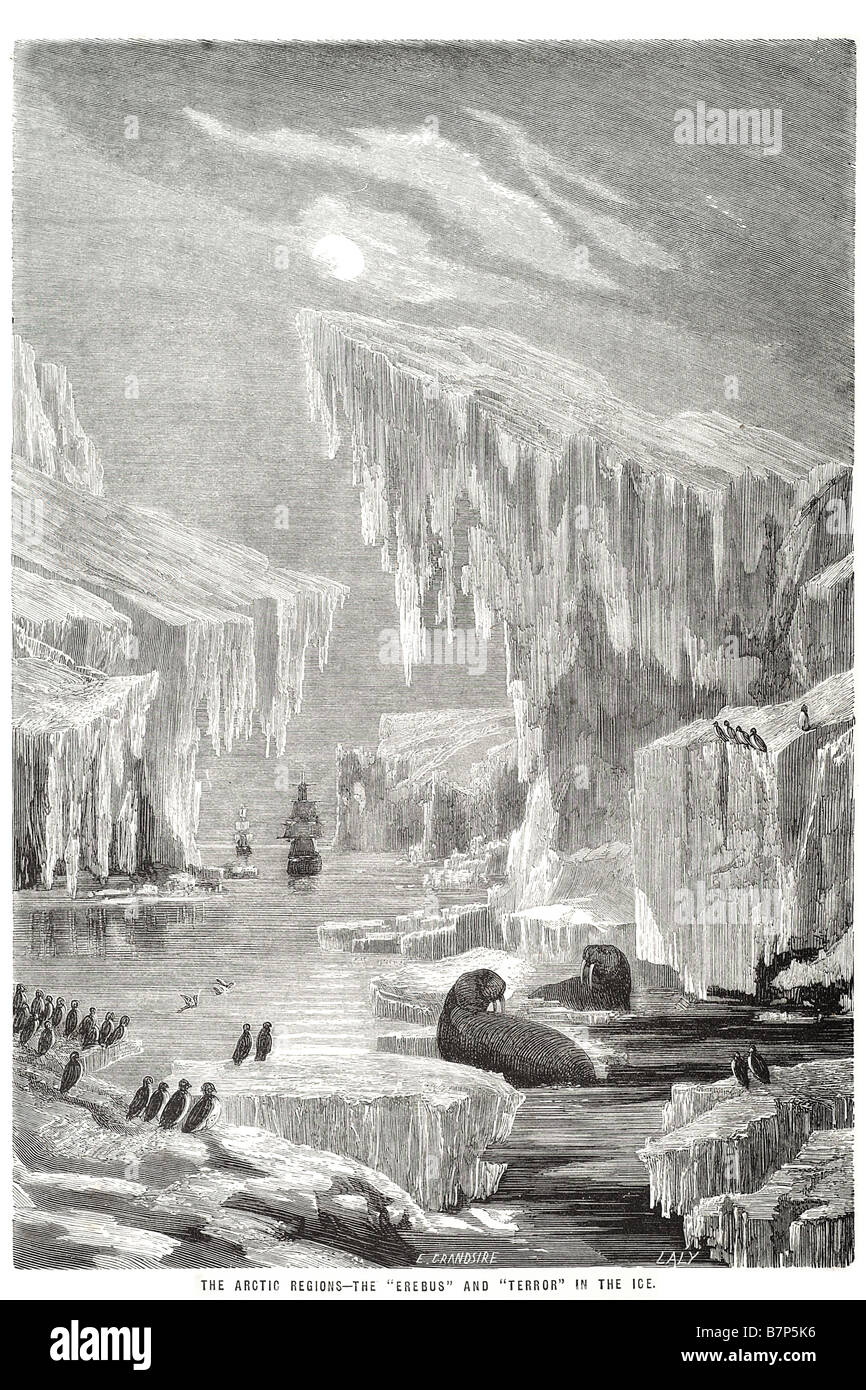 L'Erebus région arctique au pôle Nord de la Terre de glace terreur penguin exploration voilier morse Banque D'Images