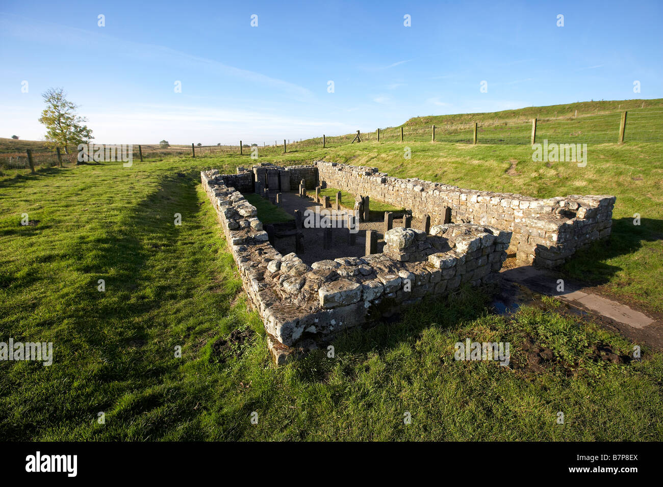 Carrawburgh romain Temple de Mithra sur le mur d'Hadrien s'Angleterre Northumberland Royaume-uni Banque D'Images