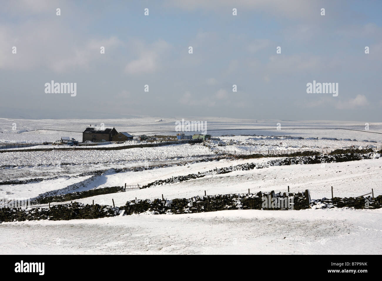 Pennine hill ferme de moutons dans la neige paysage d'hiver Banque D'Images