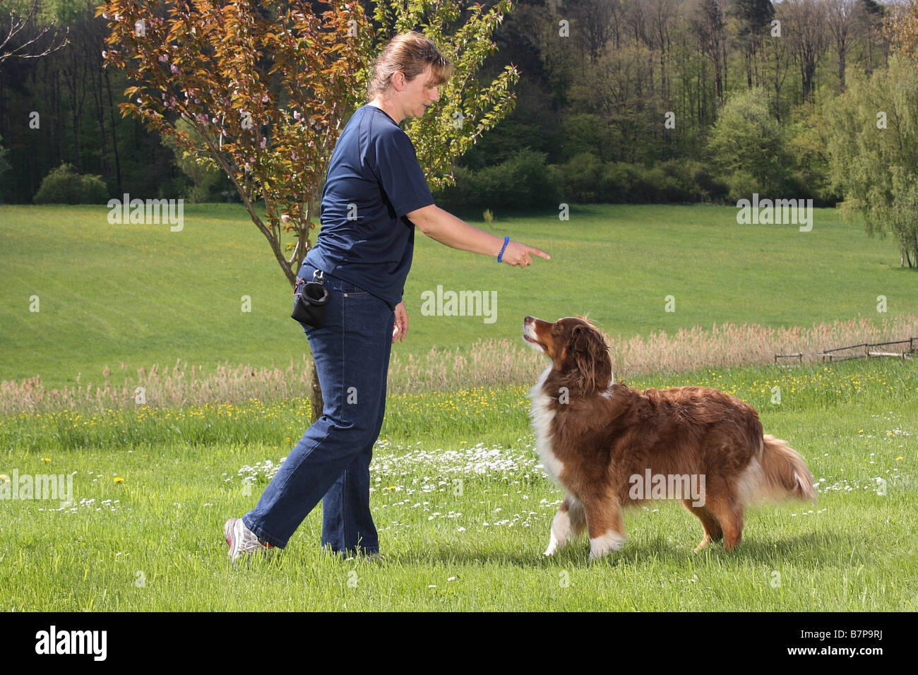 Femme et l'Australian sheperd Dog Dancing - Banque D'Images Femme et l'Australian sheperd Dog Dancing - Banque D'Images