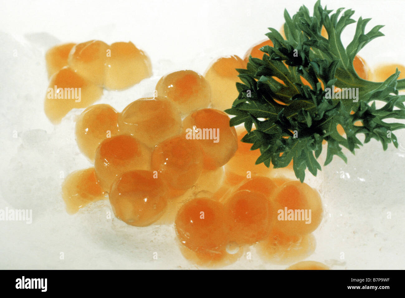 Caviar rouge, les œufs de saumon kéta (Oncorhynchus keta) Banque D'Images