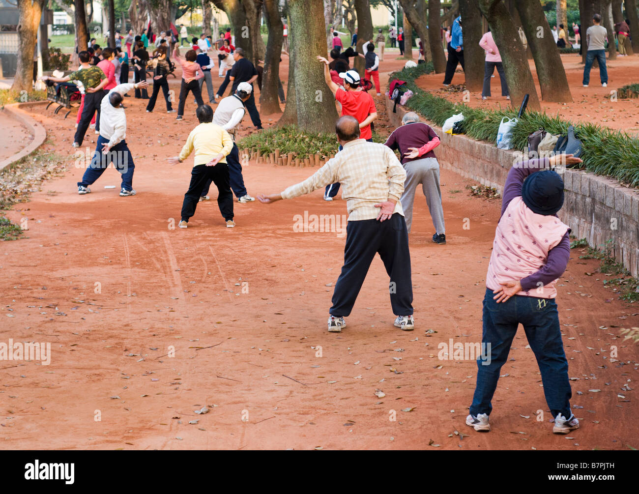 Grand groupe de retraités exerçant dans un parc au matin Banque D'Images