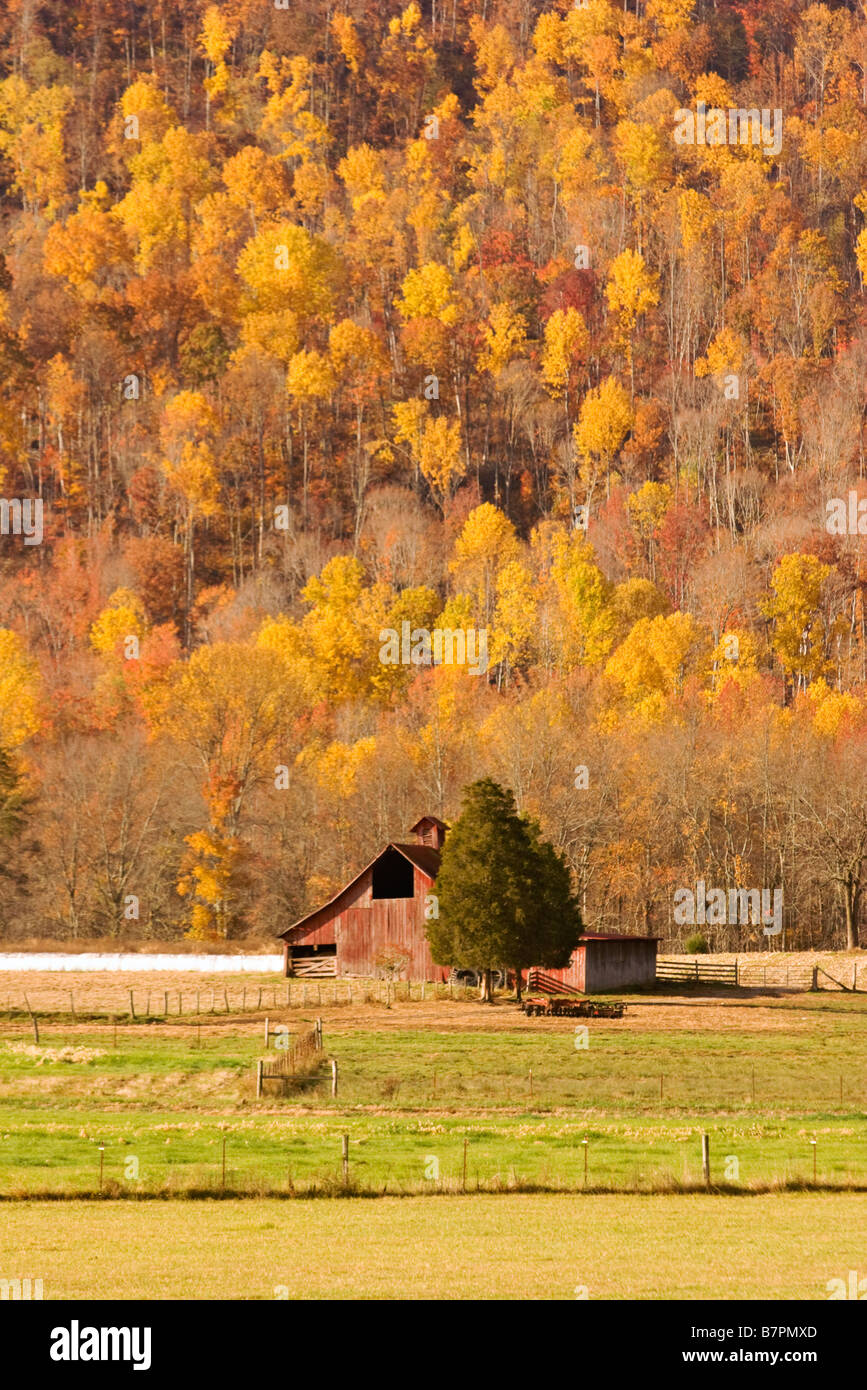 Ancienne grange à Grassy Cove Tennessee Banque D'Images
