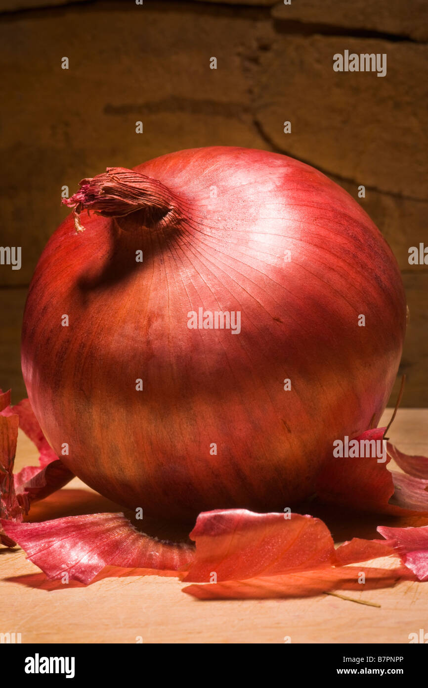 Studio les natures mortes d'un oignon rouge en face d'un fond en bois Banque D'Images