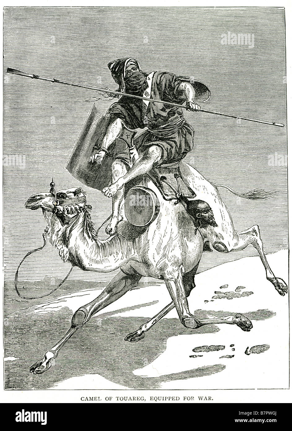 De chameau touareg équipé pour la guerre (également touareg touareg ou Twareg Amazigh : Imuhagh, Itargiyen / ethnyms régionaux, outre) ar Banque D'Images