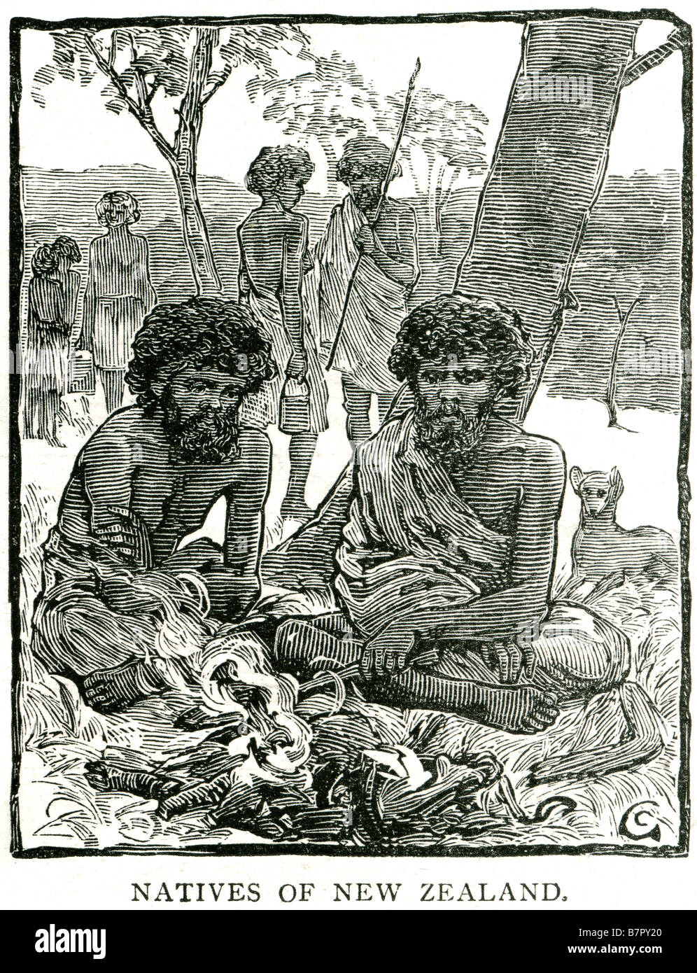 Les Maoris de Nouvelle-Zélande Native Fire Clan tribu sauvage polynésien autochtones outback Banque D'Images