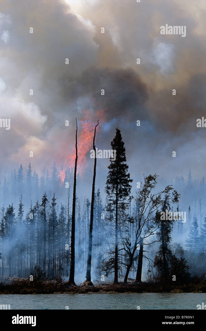 Les feux de forêt au Flamboyant Kenai Wildlife Refuge, lac Skilak, Alaska, l'été. Banque D'Images