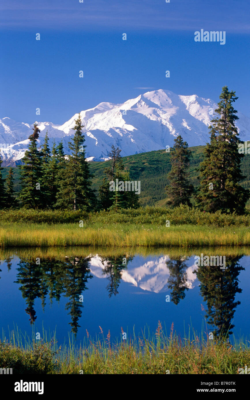 Mt McKinley qui reflète de Nugget Pond Denali National Park l'intérieur de l'Alaska Summer Banque D'Images