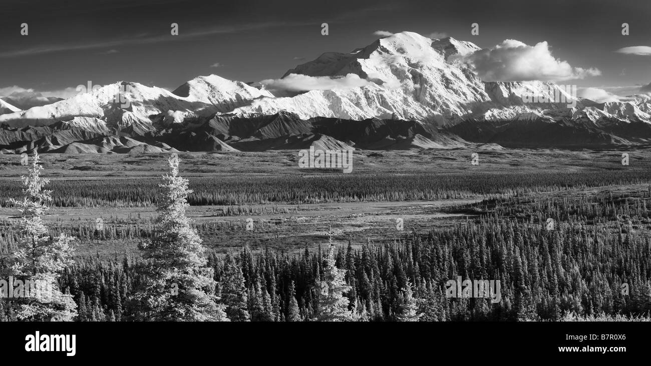 Panorama de l'infrarouge et la gamme Denali Alaska prises de près de l'étonnant lac Camping, Denali National Park Banque D'Images