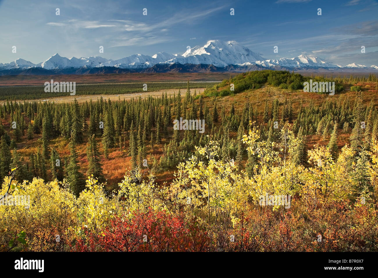 Vue panoramique sur Mt. McKinley avec taïga et couleurs d'automne au premier plan, près de Wonder Lake dans le parc national Denali, Alaska Banque D'Images