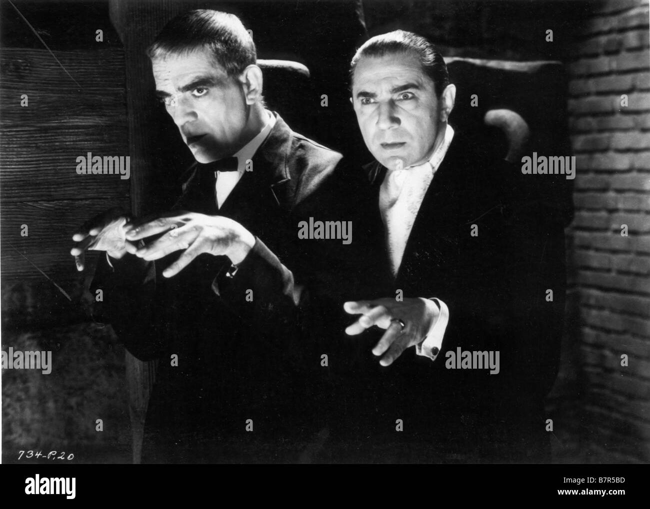 Le Chat Noir Année : 1934 USA Boris Karloff, Bela Lugosi Réalisateur : Edgar G. Ulmer Banque D'Images