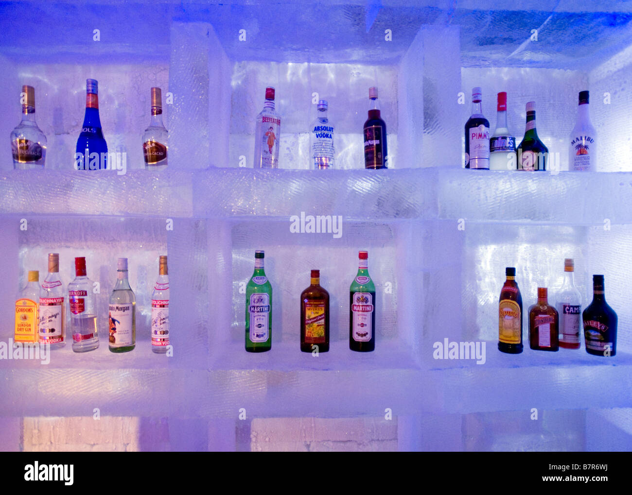 Détail de rangées de bouteilles d'alcool sur des plateformes de glace dans le bar de glace de Harbin en Chine 2009 Banque D'Images