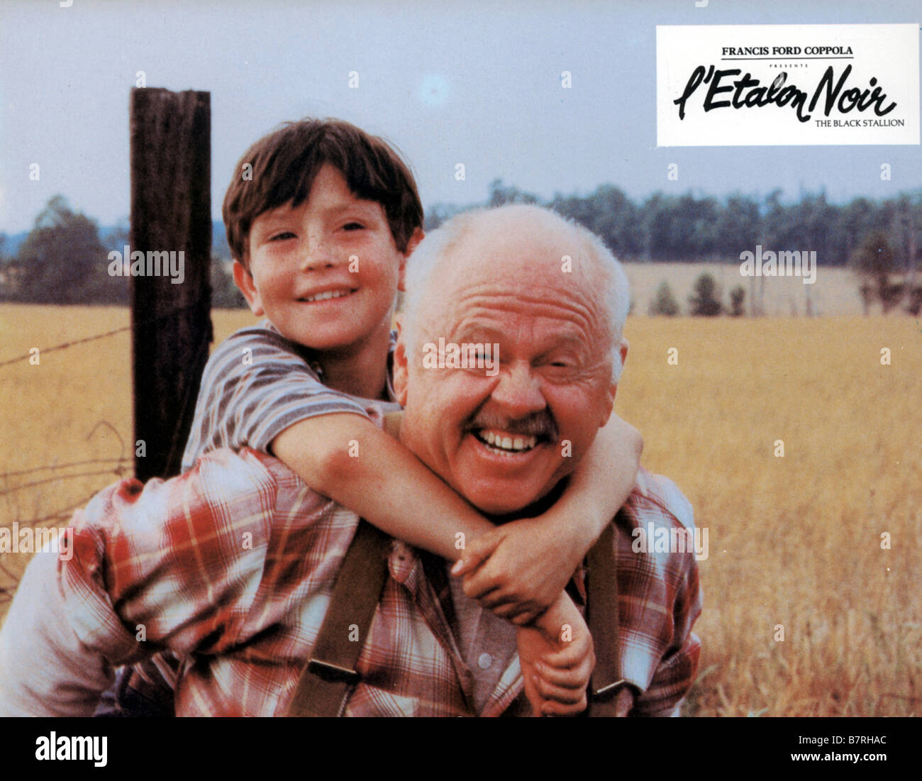 L'étalon noir Année : 1979 USA Directeur : Carroll Ballard Kelly Reno, Mickey Rooney Banque D'Images